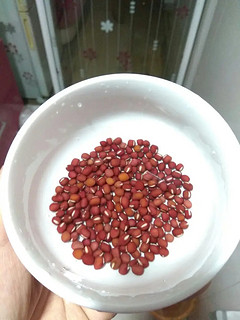 红豆颗粒饱满、颜色晶莹营养丰富