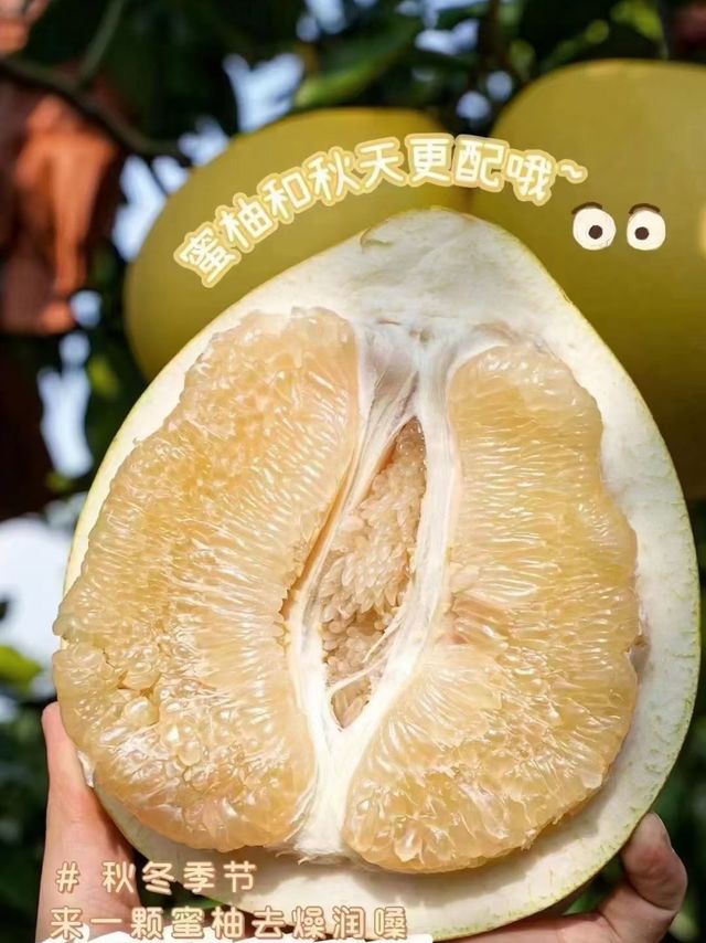 来一颗蜜柚去燥润嗓