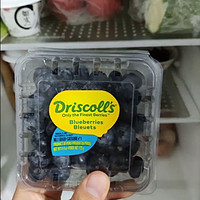 Driscolls 怡颗莓 秘鲁进口蓝莓 1盒 125g