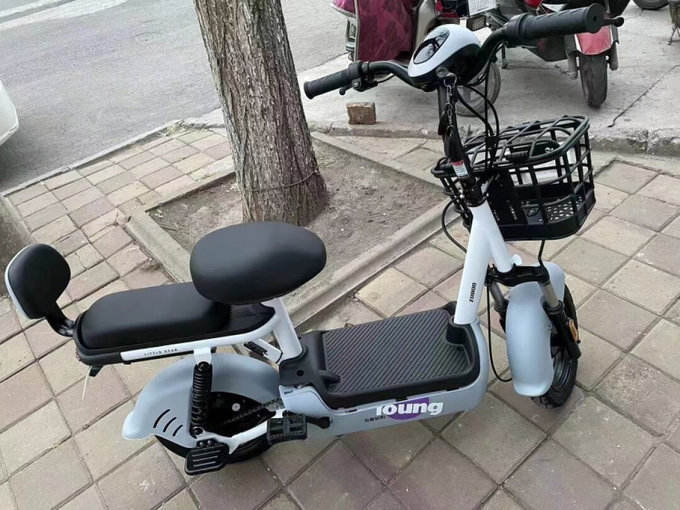 五星鑽豹電動車