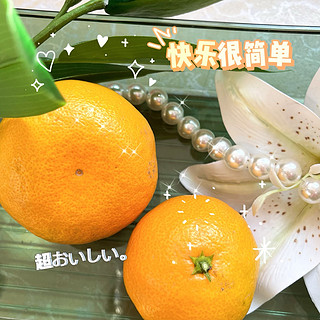 吃货召集令｜甜到心里的无核橘🍊