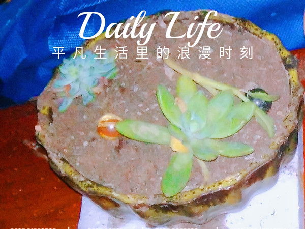 平凡生活里的浪漫时刻~养多肉植物的快乐~