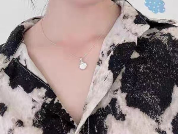 一贝子投影纯银项链女生款轻奢小众2022年新