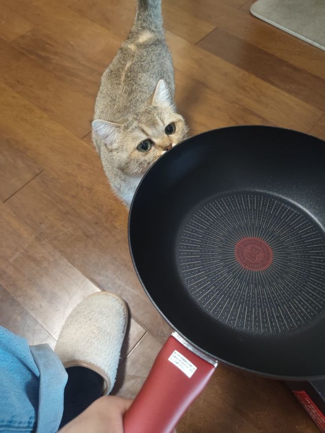 不大不小，炖一只7斤修猫咪正好，特福炒锅