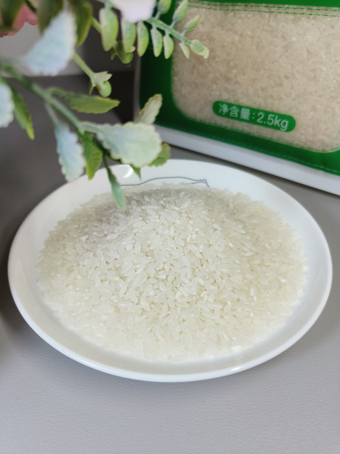十月稻田大米