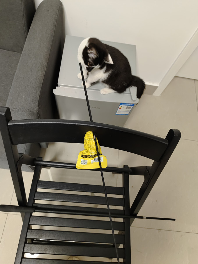 雪山之星猫玩具