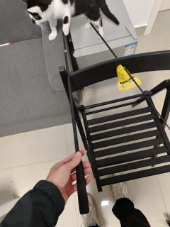 长杆逗猫棒