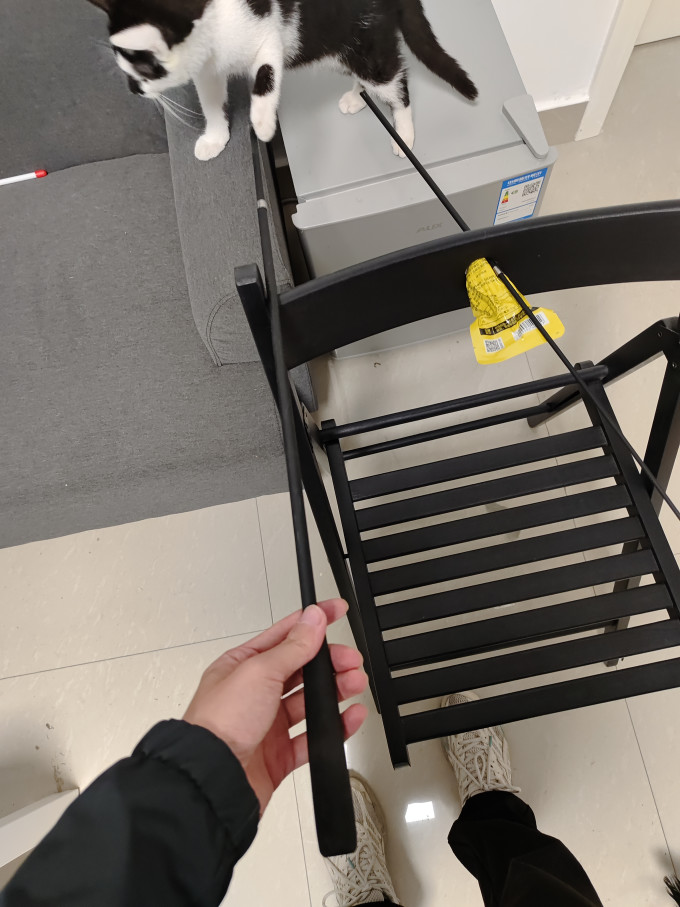 雪山之星猫玩具