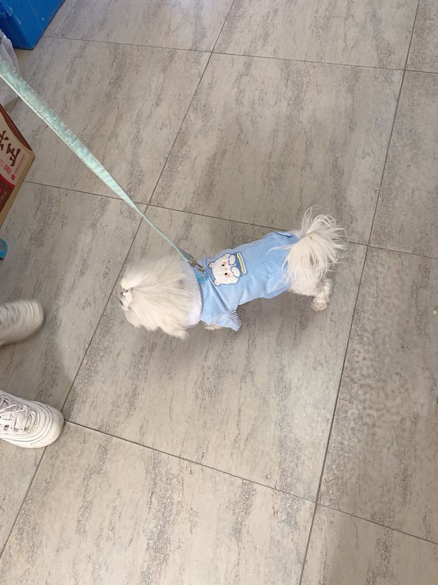面料质感：衣服全棉的，里面加绒，穿着厚实