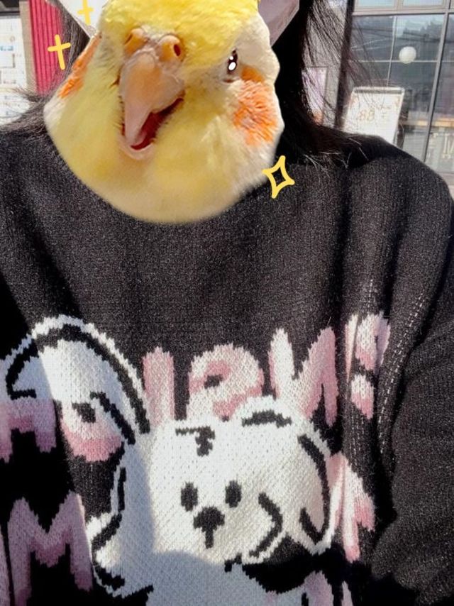 可爱软糯毛衣温暖ԅ(¯ㅂ¯ԅ)