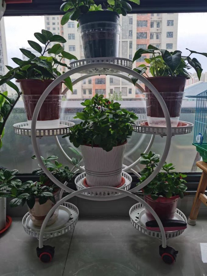 花架/装饰架