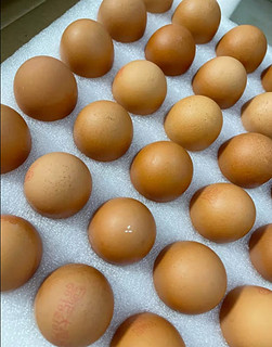 正大（CP） 鲜鸡蛋 30枚 1.59kg 早餐食材 