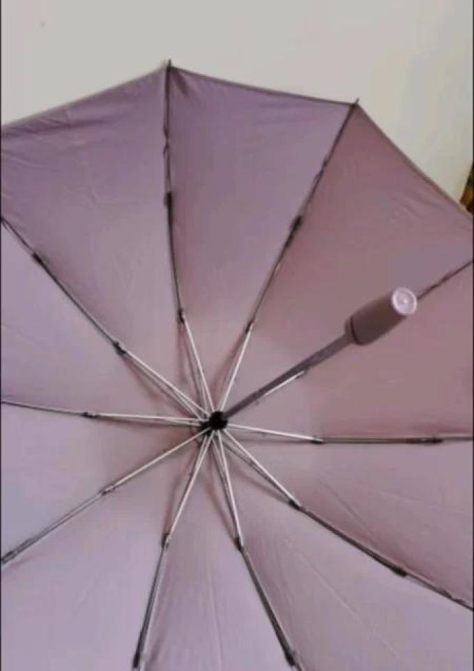 左都雨伞