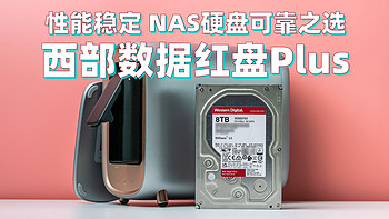 性能稳定 NAS硬盘可靠之选-西部数据红盘Plus