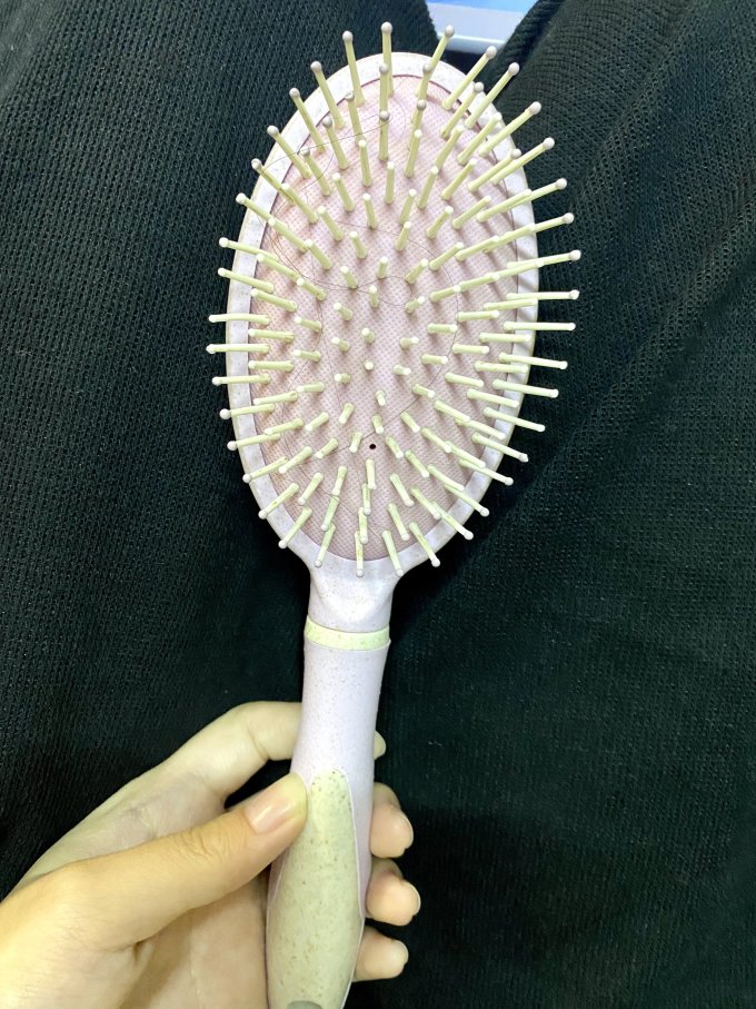 瑞芙妮梳子