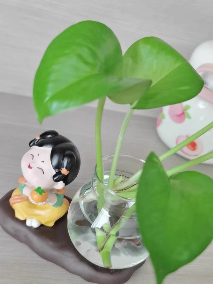 蕊杰装饰摆件