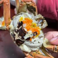 螃蟹个个都是鲜活的,每个里面都有黄
