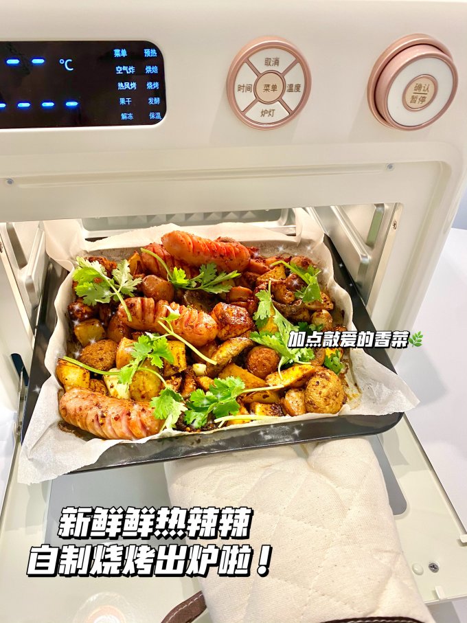 大宇电烤箱