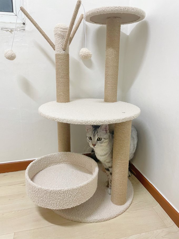 乐妃猫玩具