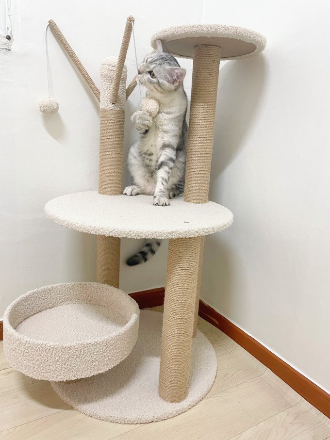 乐妃猫玩具