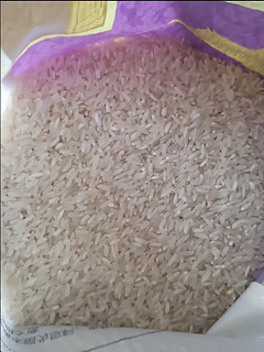 香满园 茉莉香米 泰清香大米 籼米 长粒米 