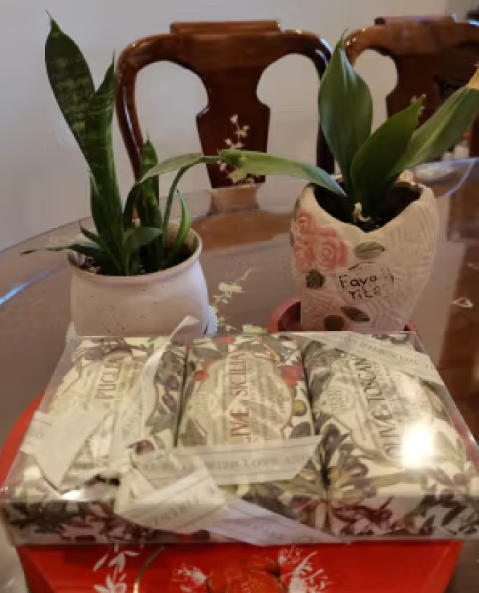 内斯蒂丹特香皂