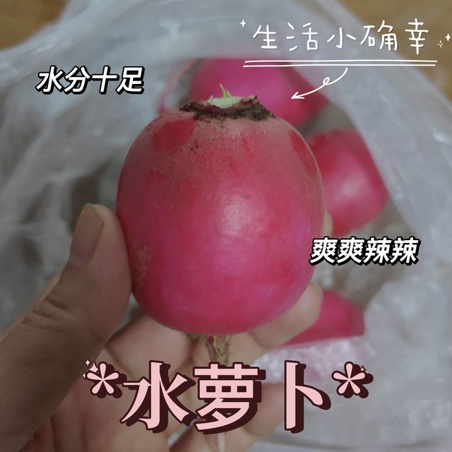 有没有人吃过这种可爱红萝卜，好脆爽！
