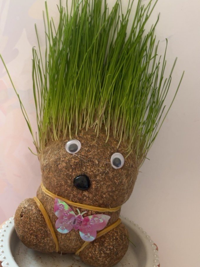 千里马鲜花绿植