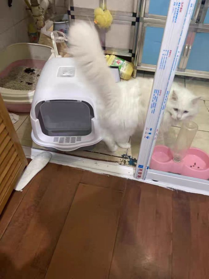 瓜洲牧其他宠物日用