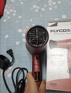 飞科(FLYCO)电吹风机家用FH6218大功率速干