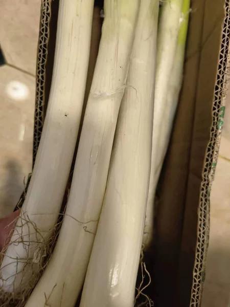 葱白很长挺干净的，生吃味好，炒菜也很不错