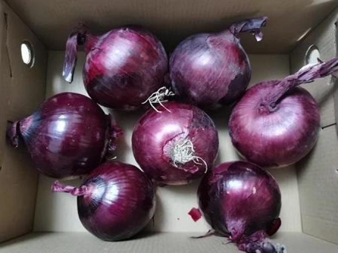 蔬菜