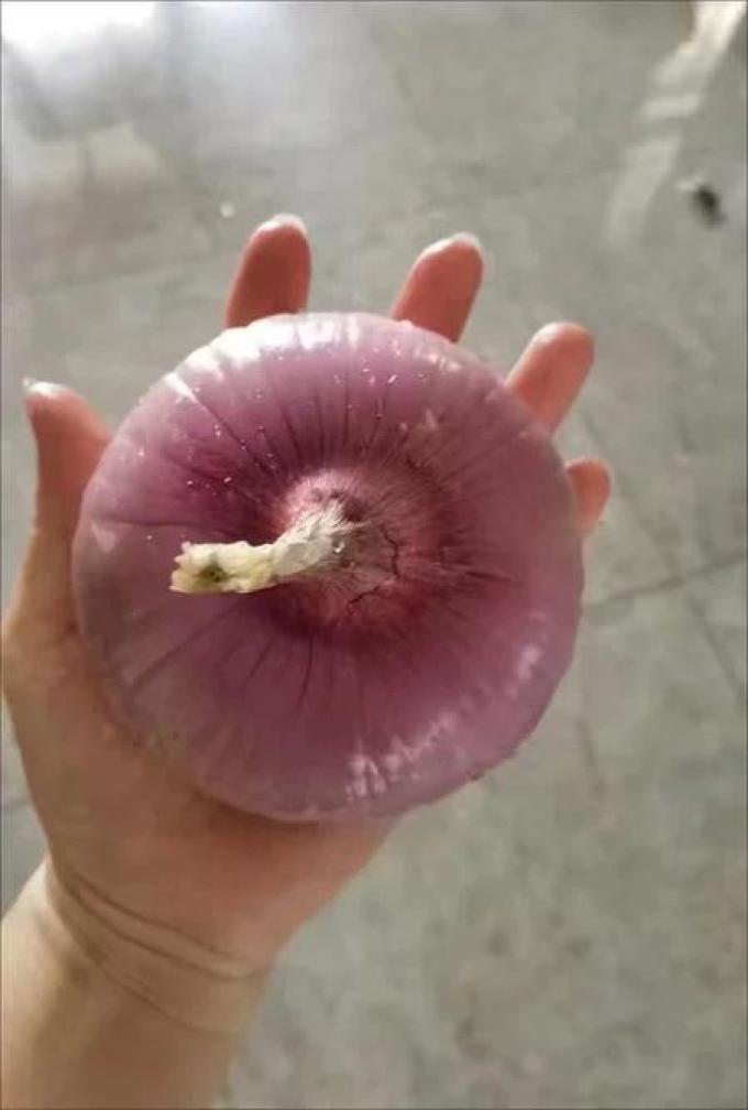 蔬菜