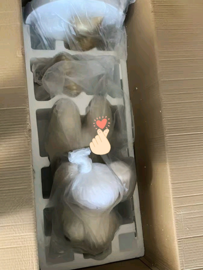 棕榈树其他摆件
