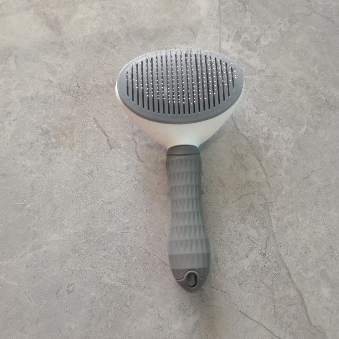 泰格宠物洗护美容