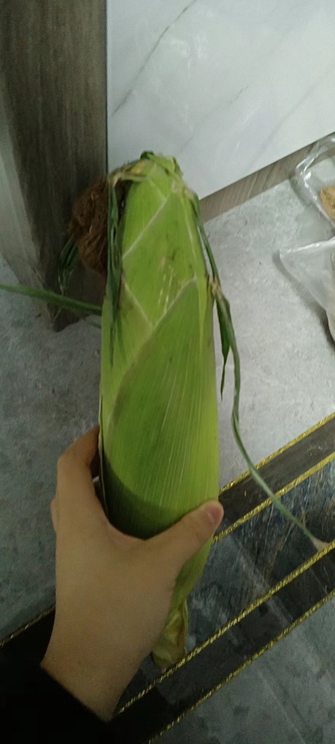 薯小萌蔬菜