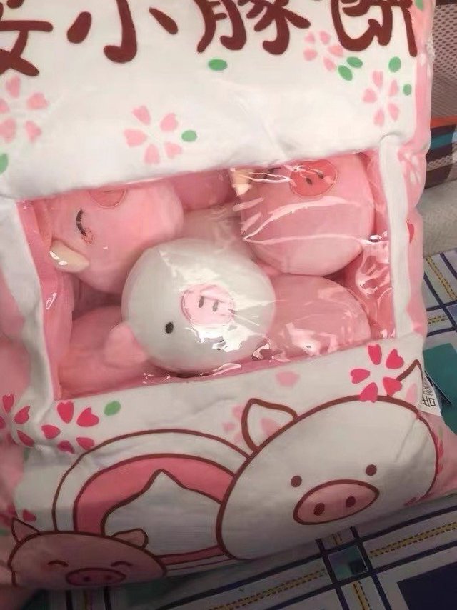 一窝的小猪抱枕