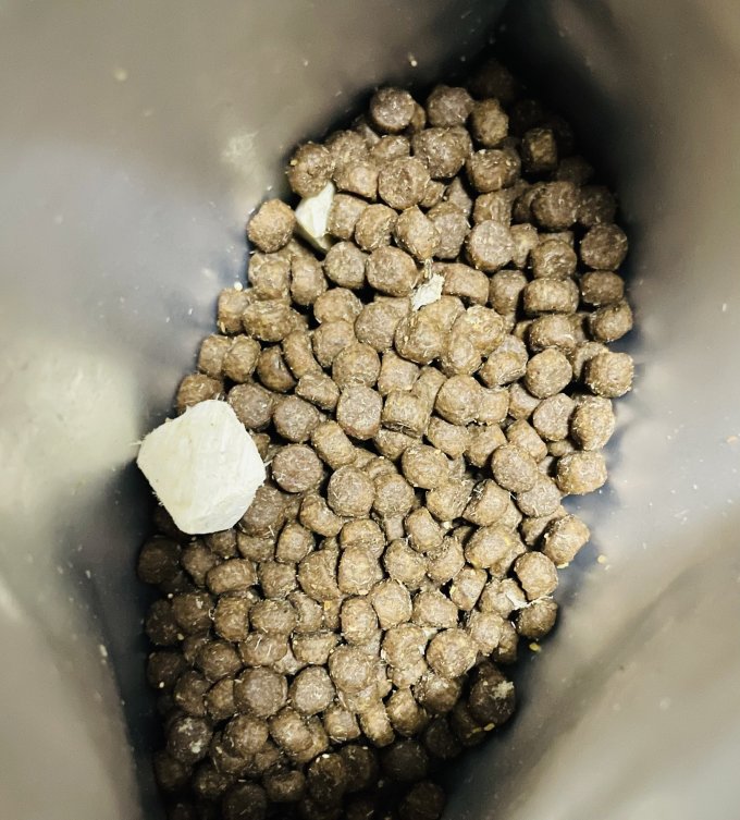 网易严选宠物主粮