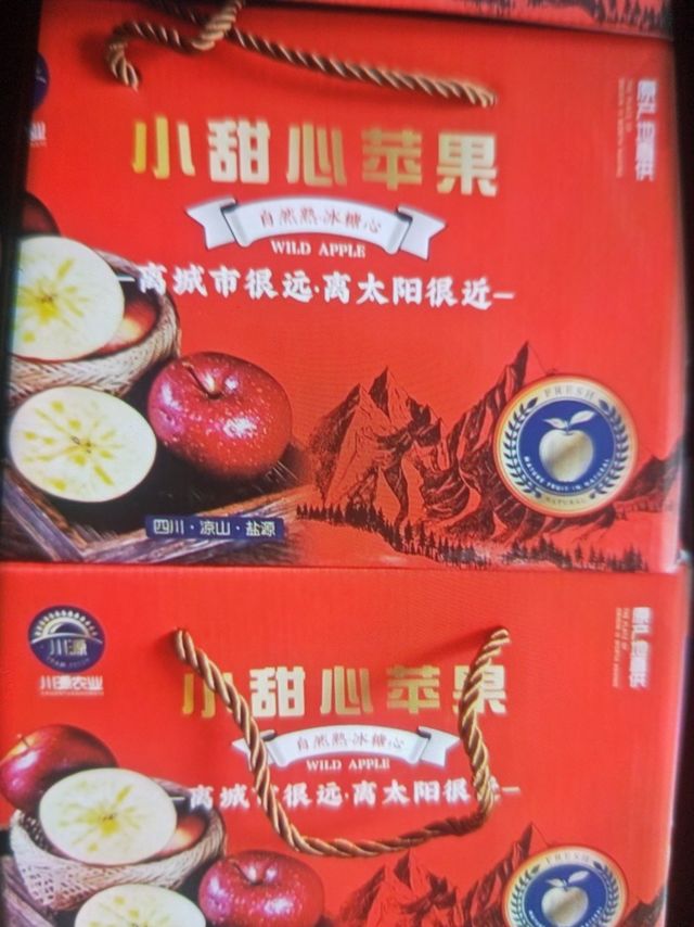 出名的邵通丑苹果