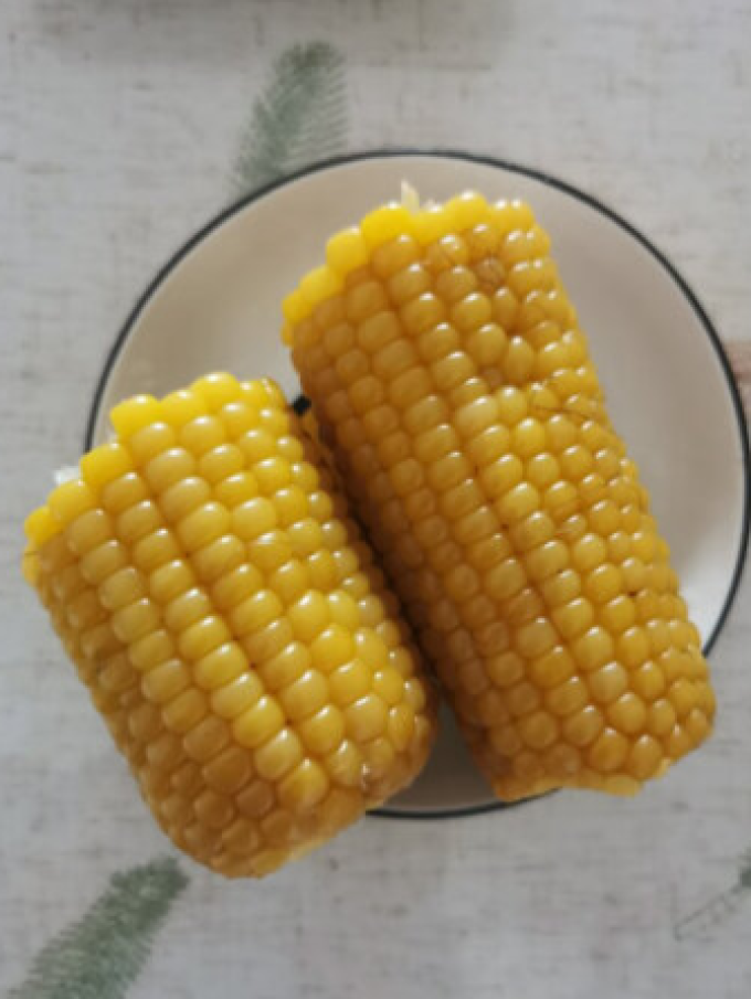 北纬47°蔬菜