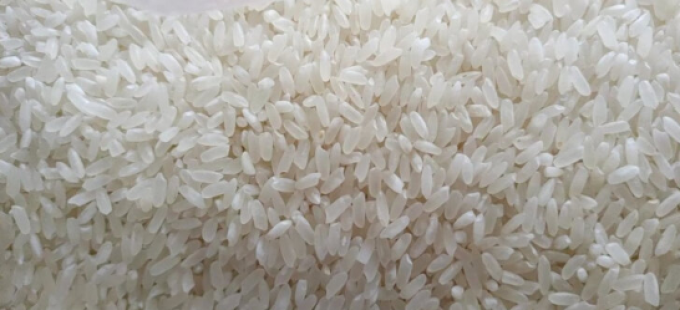 聖上壹品大米