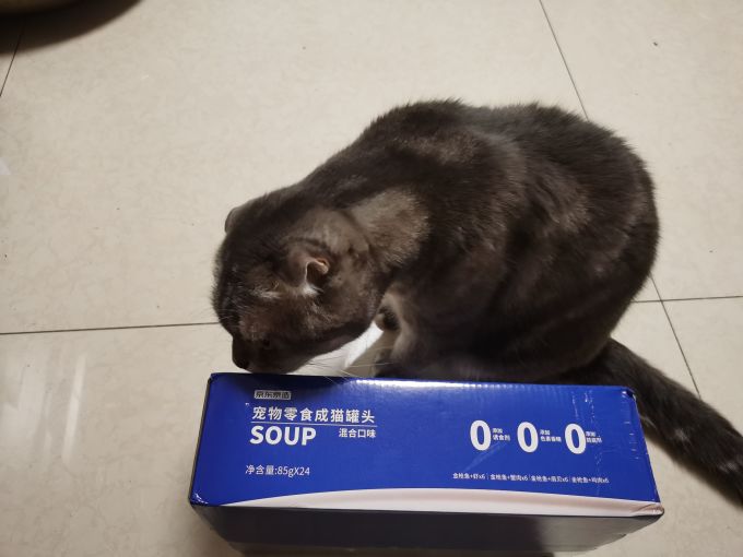 猫零食