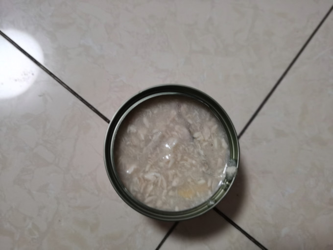 猫零食