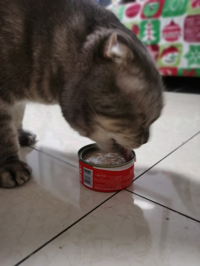 猫零食