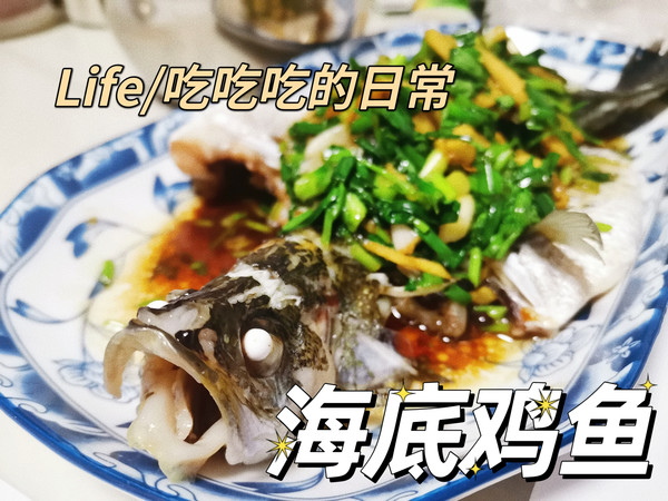 有趣又好吃的“海底鸡鱼”你听过吗？