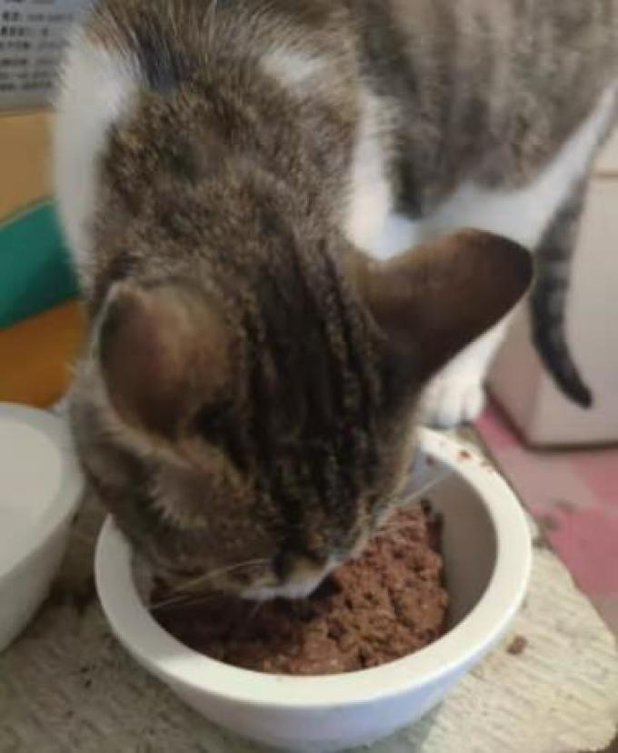 麦富迪猫零食