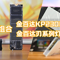 双十一电脑升级计划，国产性价比组合，金百达 KP230 Pro固态硬盘+刃系列灯条