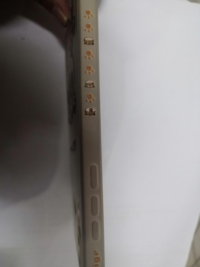 原简保护壳