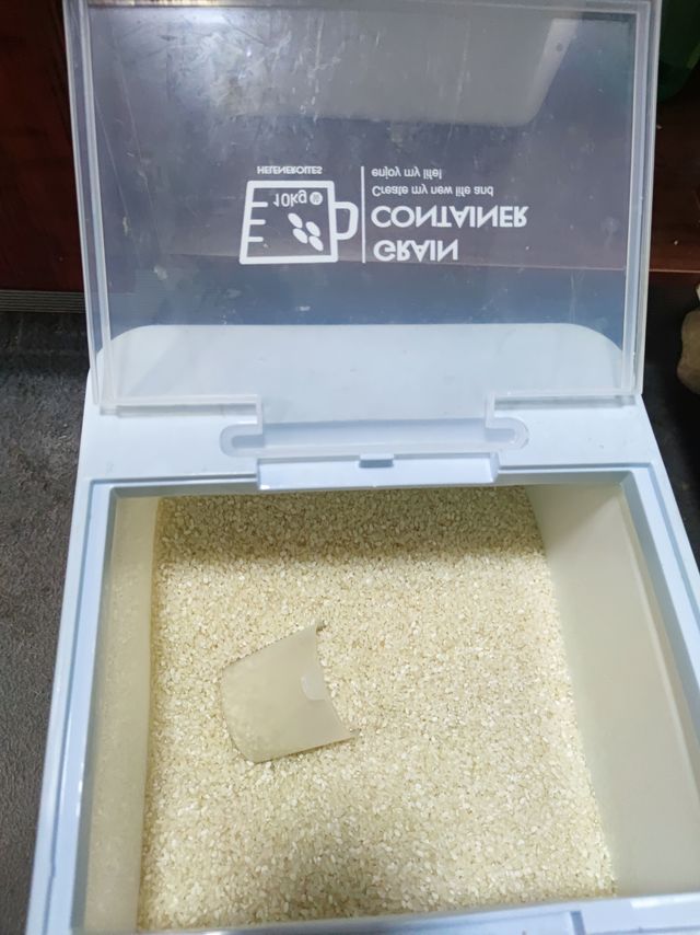 怎么不算是米缸呢~大肚子米缸