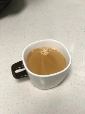 柏翠半自动咖啡机